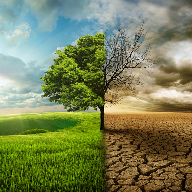 Environmental Industries